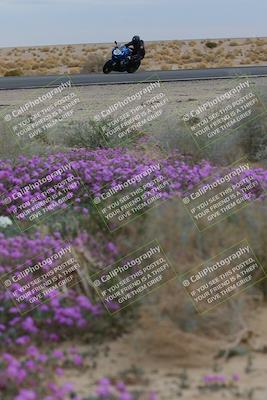 media/Jan-14-2023-SoCal Trackdays (Sat) [[497694156f]]/Turn 14 Exit Bloomig (145pm)/